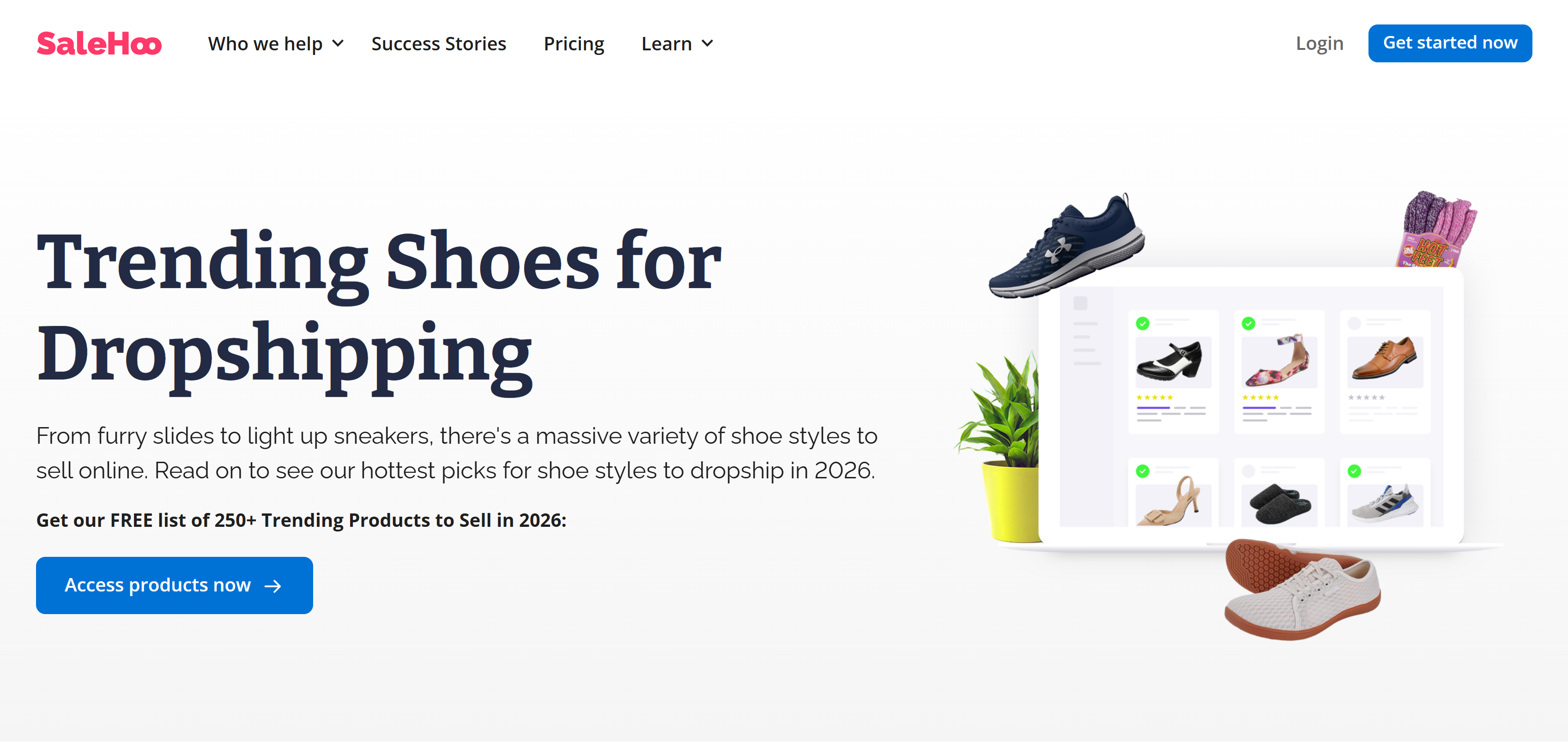 dropshipping shoes with salehoo and sell the trend
