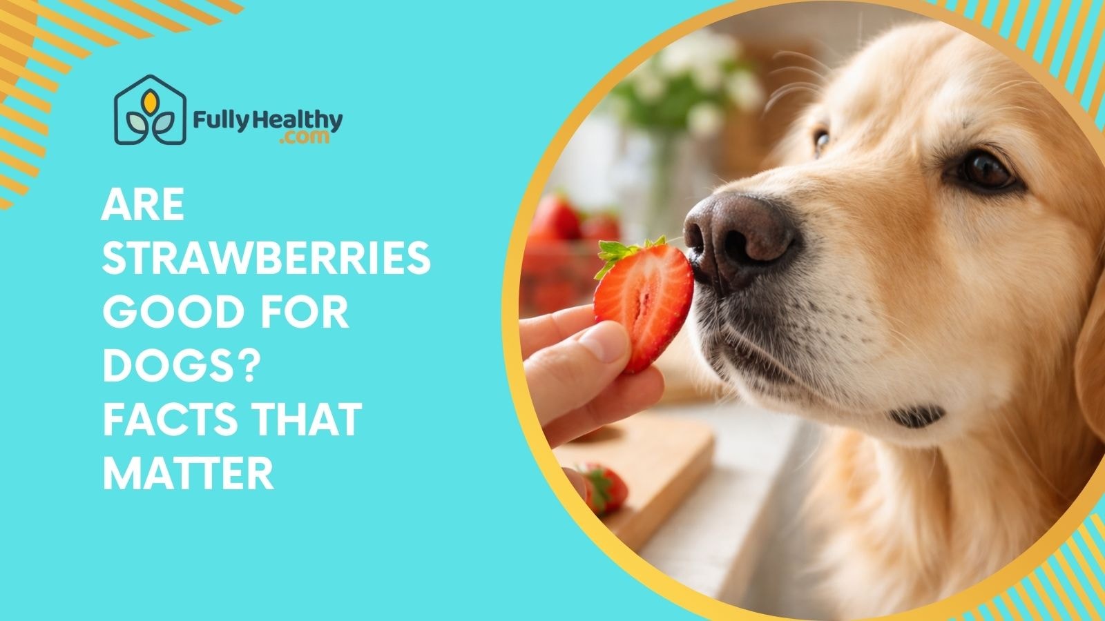 Are Strawberries Good for Dogs? Facts That Matter