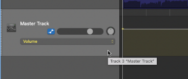 The Master Track and Master Track Header with Automation Icon and Volume parameter