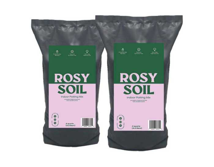  Rosy Soil bagged compost is a great product for your indoor plant.