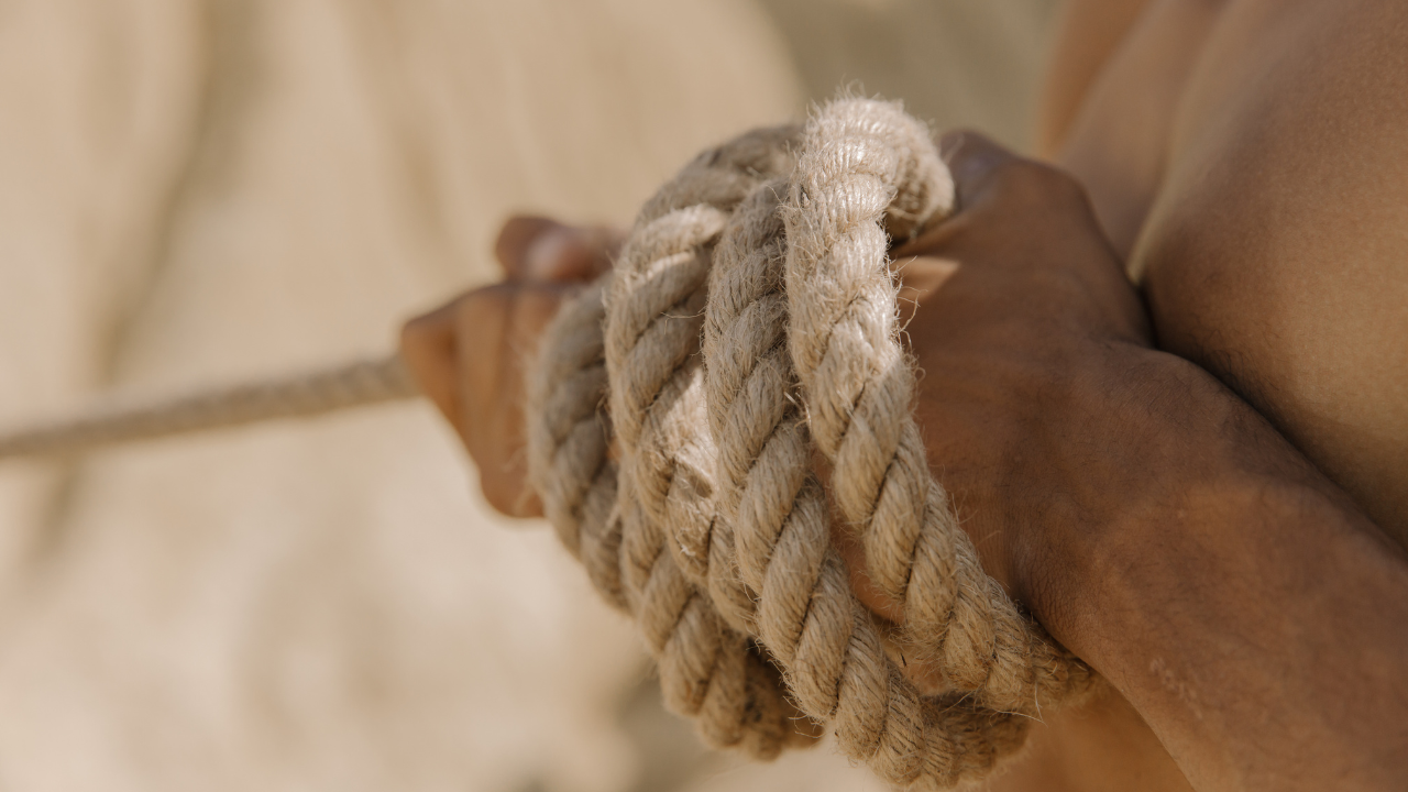 shibari and understanding human sexuality