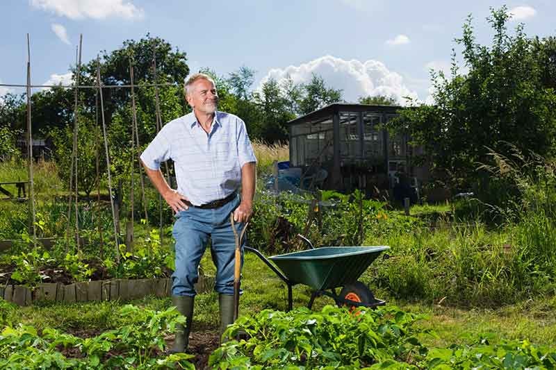 Incorporating Balance Exercises Into Gardening For Seniors