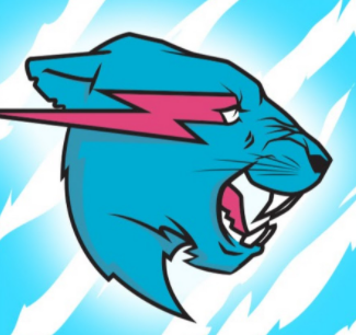Mr Beast Net Worth - Over $100 Million? [Updated 2023] 39