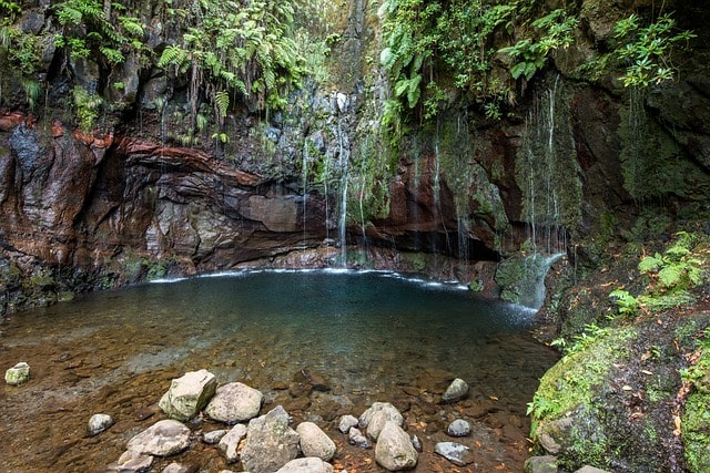 Enjoying Madeira’s Botanical Gardens