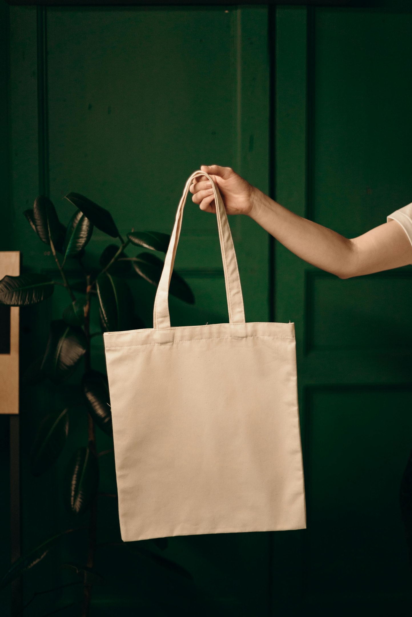 Eco Friendly Tote Bag