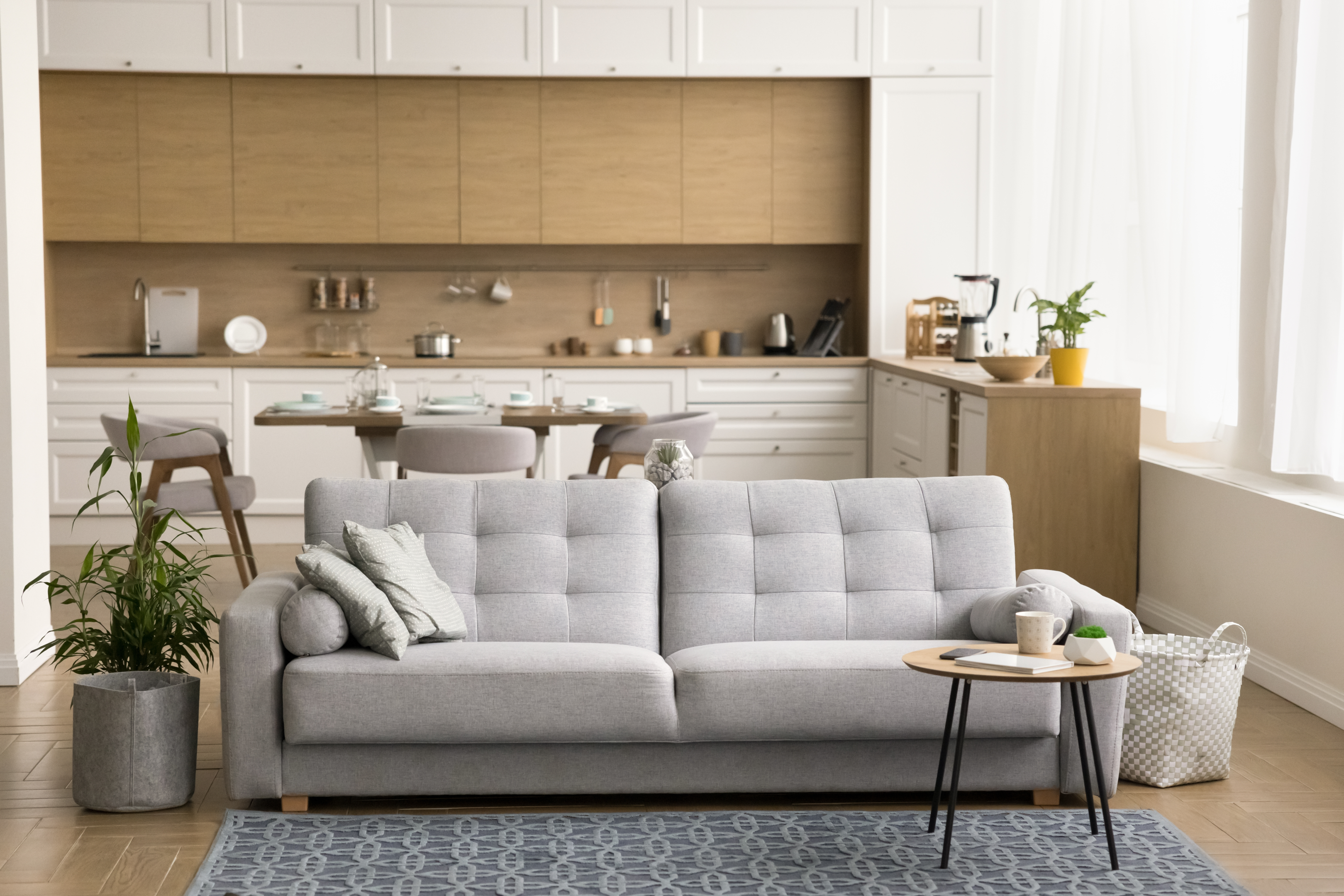 modern apartment with contemporary kitchen