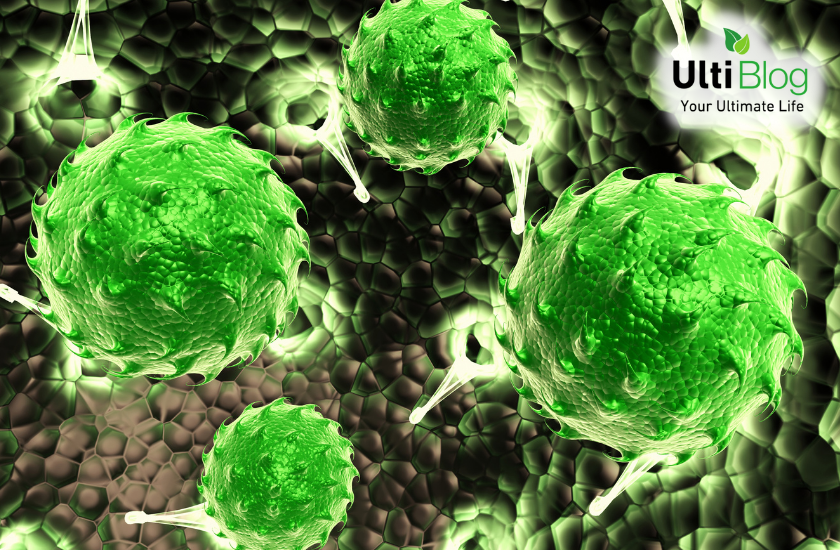 Bacteria