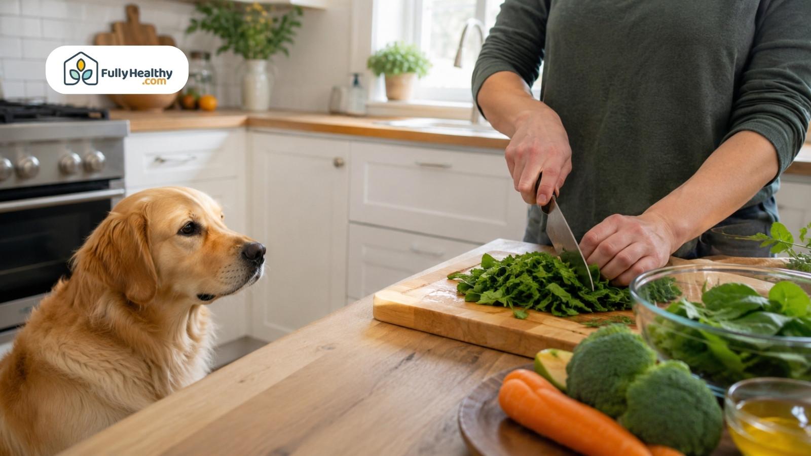 Golden Retriever watches owner chopping fresh spinach on kitchen countertop