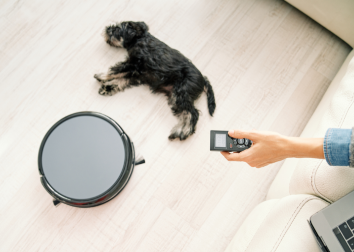 An image of the best budget robot vacuum for pet hair with advanced smart features, designed to clean pet hair efficiently.