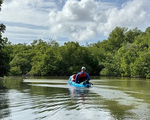 Kayaking Everglades National Park