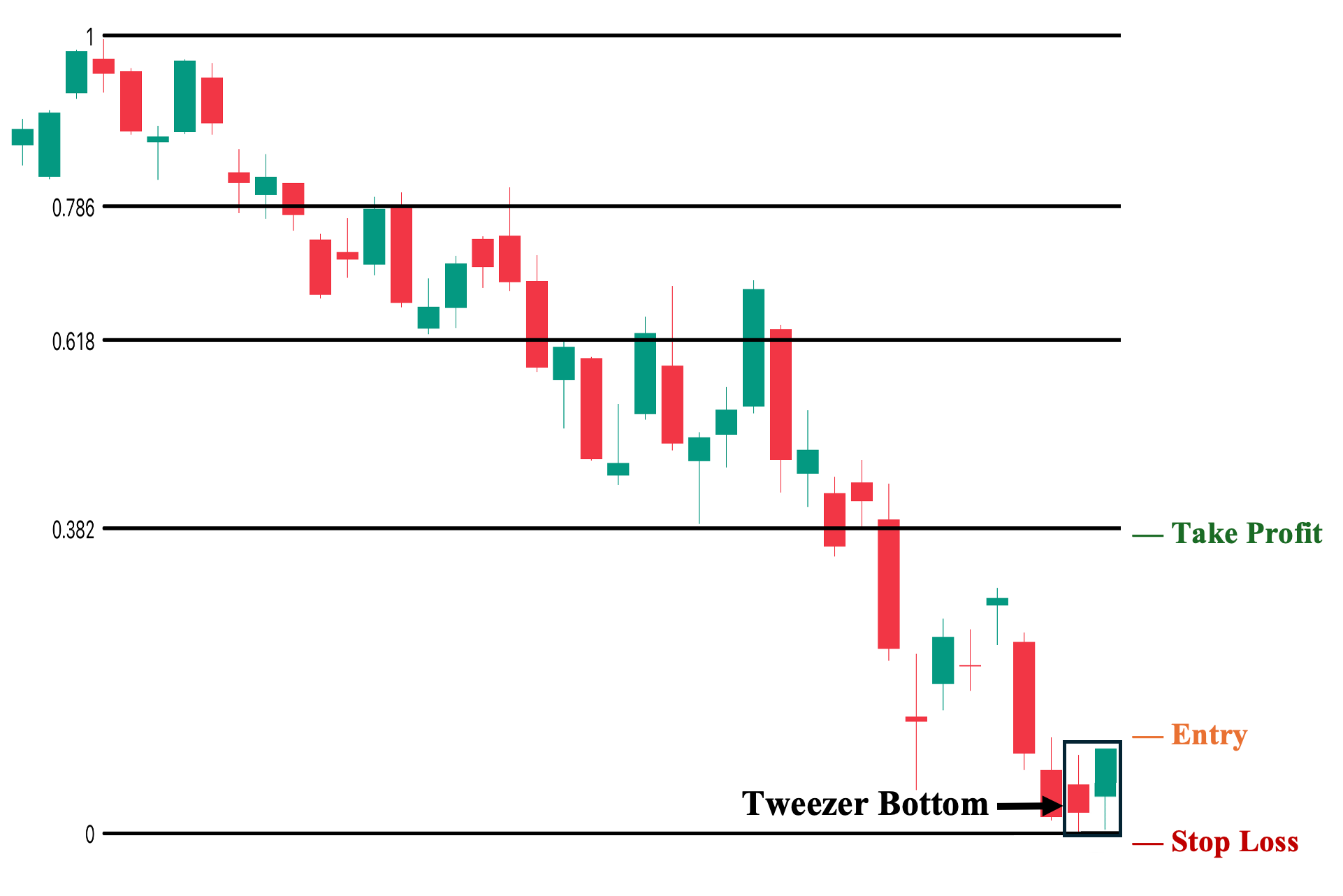 Tweezer Bottom with Fib