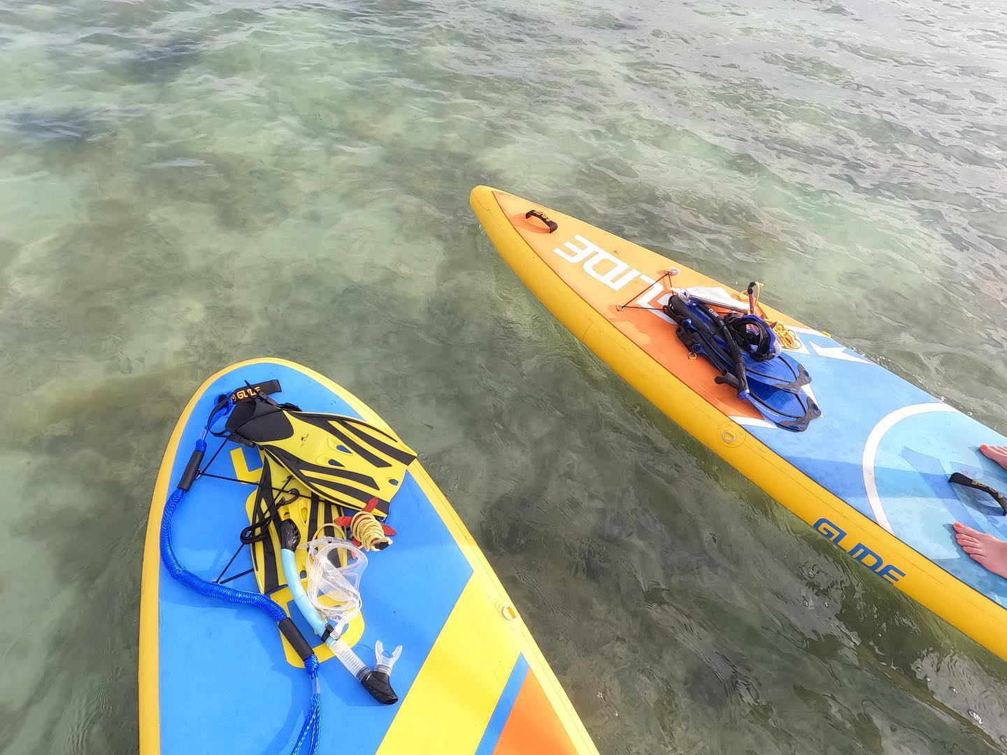 stand up paddle boards