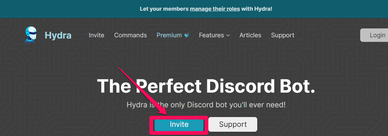 Image showing how to invite Hydra to a Discord server