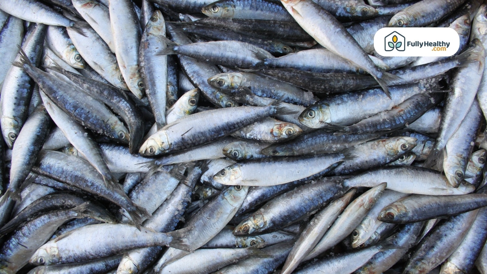 Pile of fresh raw sardines stacked together for seafood market