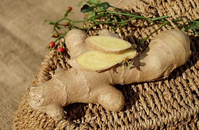 ginger, ingber, immerwurzel