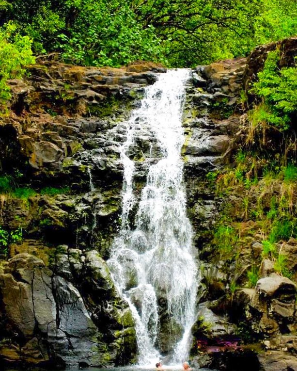 maunawili falls near pali highway