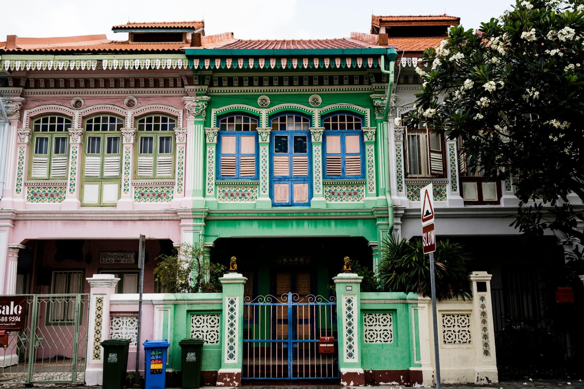  This image showcases a row of vibrant, pastel-colored shophouses featuring ornate architectural details like decorative floral tiles and intricate window shutters. A green house stands out with its blue-framed windows and a matching green gate, while a tall tree with white blossoms frames the right side of the frame next to a "Slow" road sign.