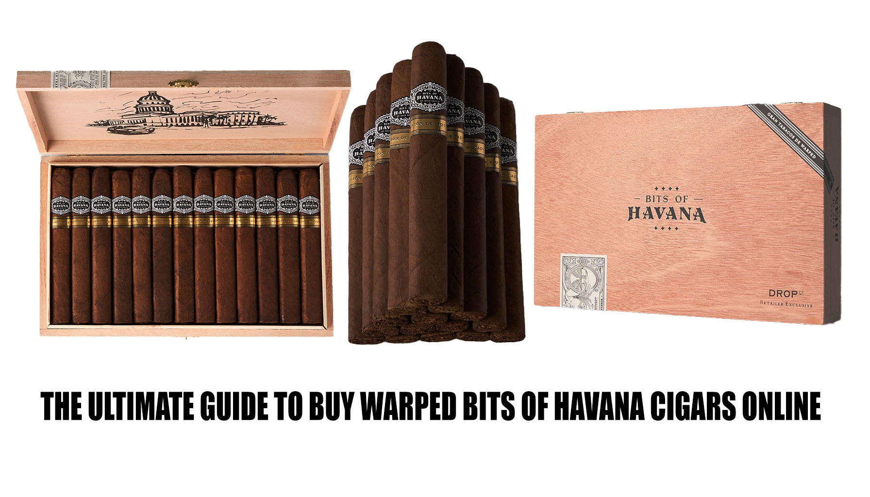 An illustration showcasing various Warped Bits of Havana cigars.