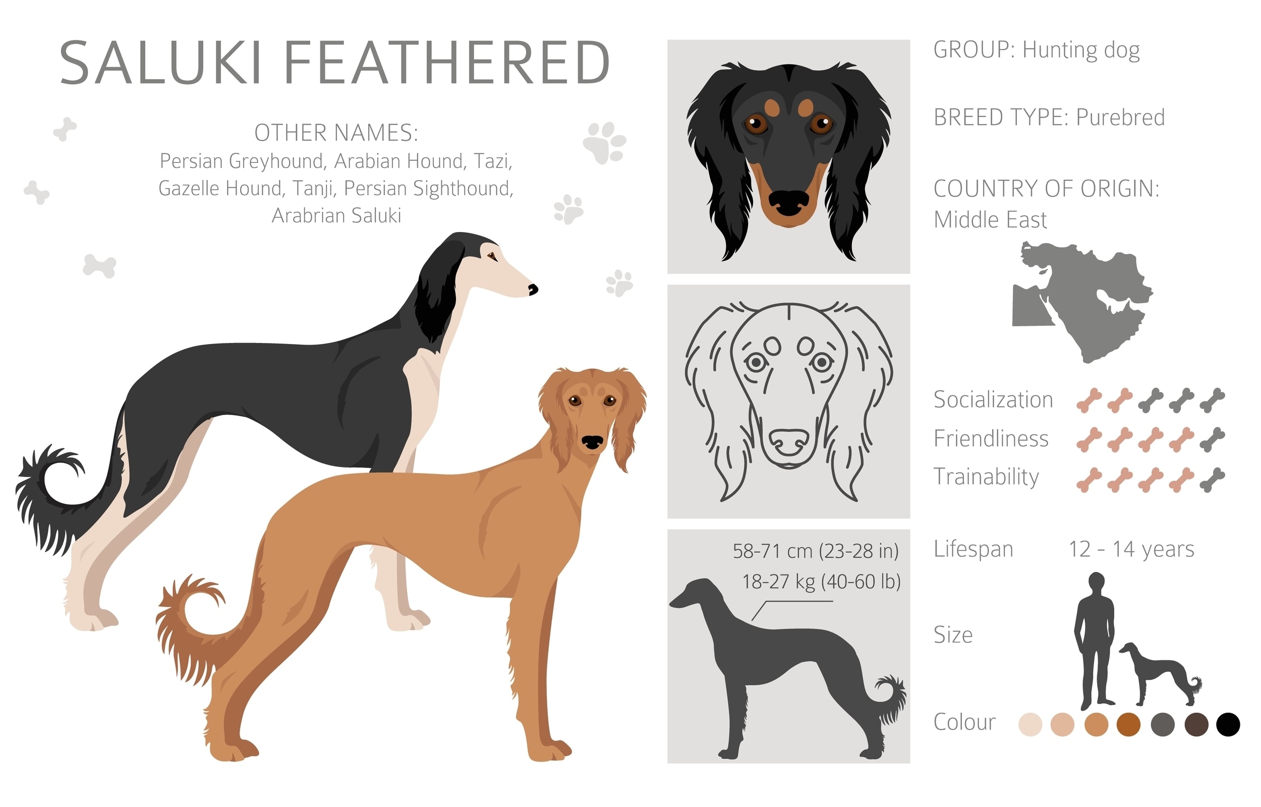 Saluki FurLyfe 