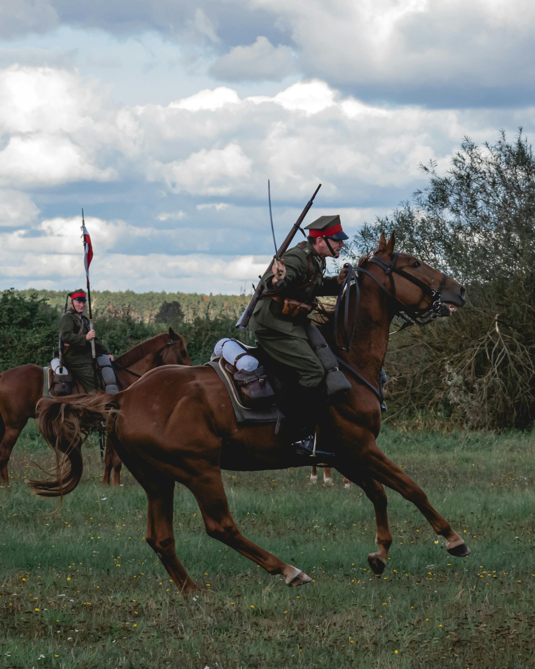 war horse and soldier.