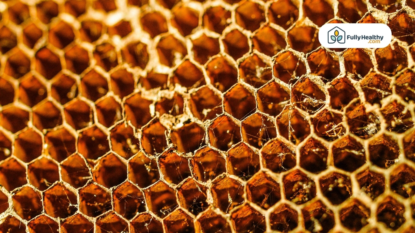 Detailed close-up of empty brown honeycomb hexagonal wax structure