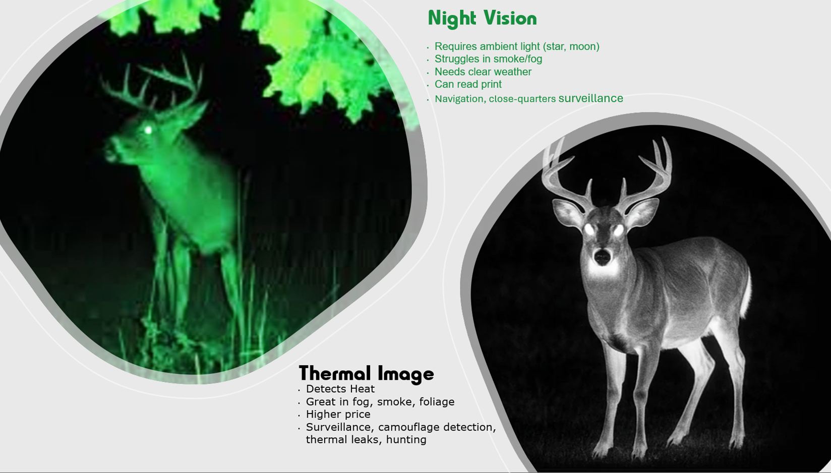 Night Vision vs Thermal Image