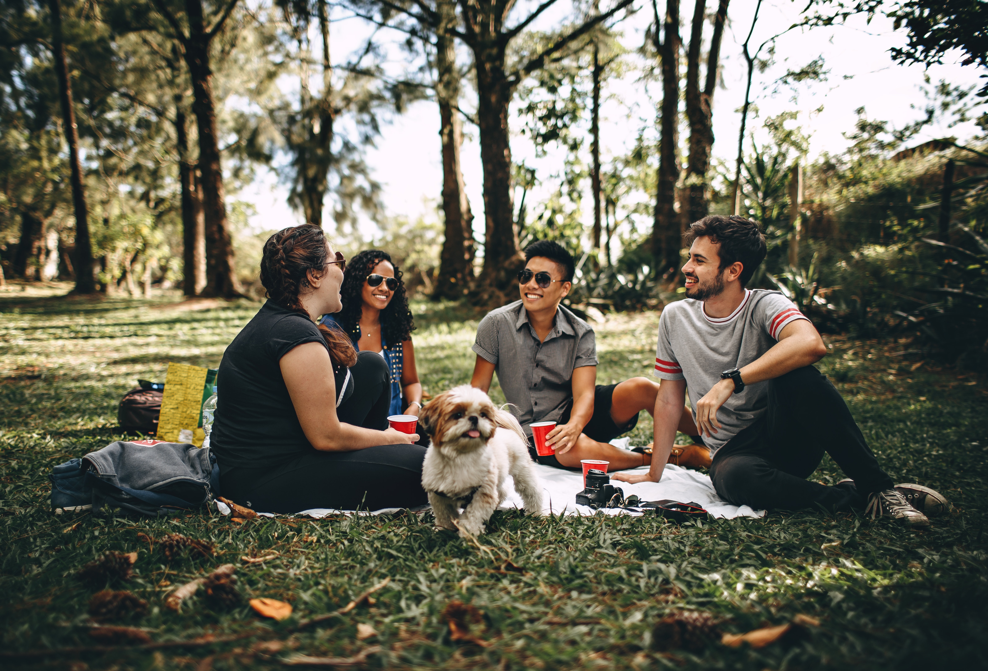 Group of people sitting on white mats in grass field