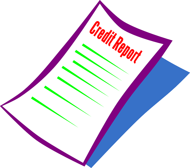 credit, report, bank, credit record, negative credit report entries