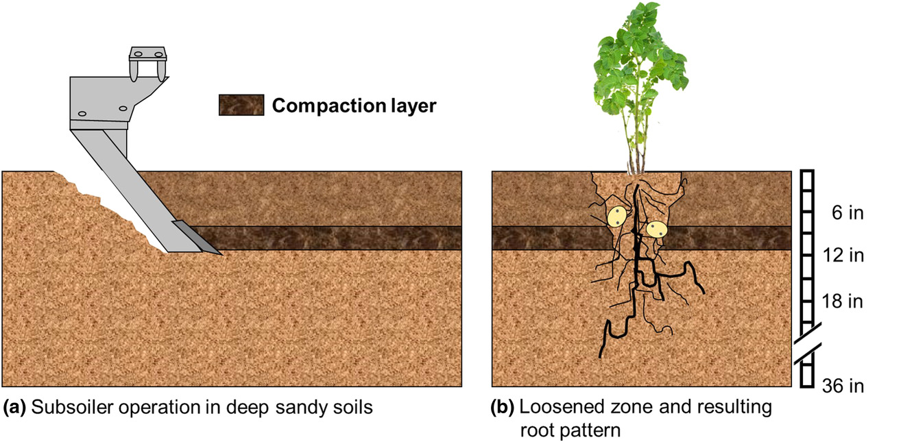 An illustration of remediation techniques for compacted soil