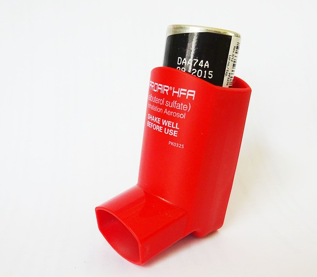 An image of an inhaler for asthma.