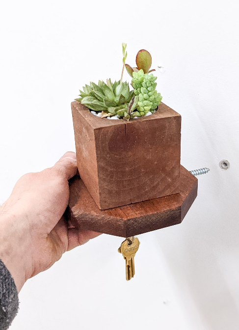 A side view of a hand holding our octagon key shelf in mahogany, extending towards the wall with the silver screw facing towards a drilled hole in the wall for installation. The sides of the octagon are straight with slightly beveled edges. On top, a square wooden planter holds three succulents. A singular bronze key dangles securely from the key hook below.