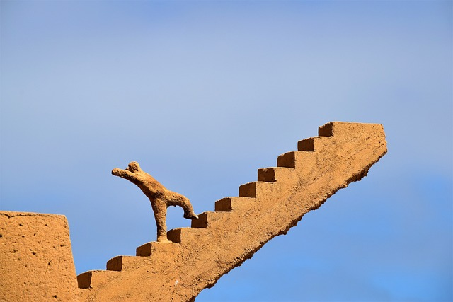 rise, success, career