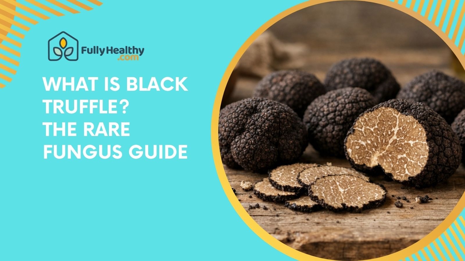 What Is Black Truffle? The Rare Fungus Guide