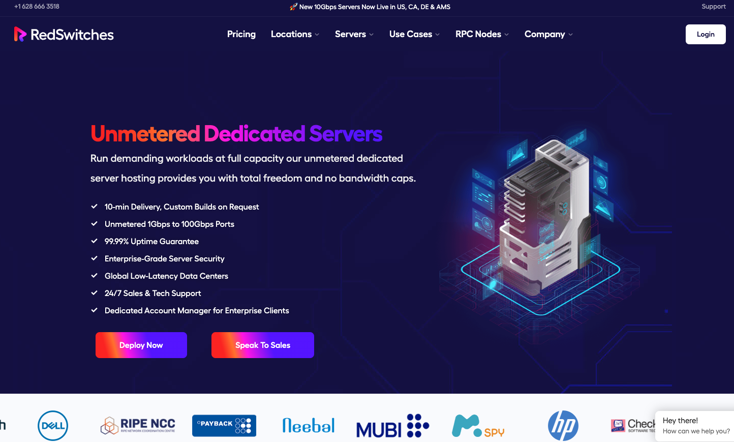RedSwitches unmetered dedicated server pricing and configuration page