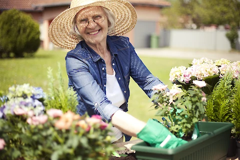 Designing a Senior-Friendly Garden: Accessibility Meets Functionality