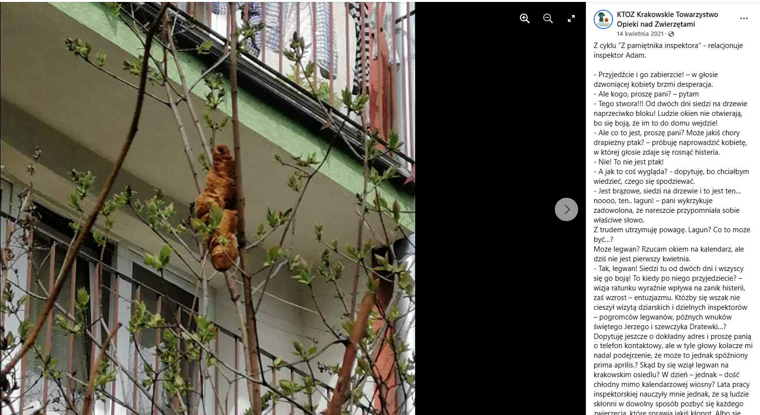 Co to jest Real Time Marketing? – przykłady RTM