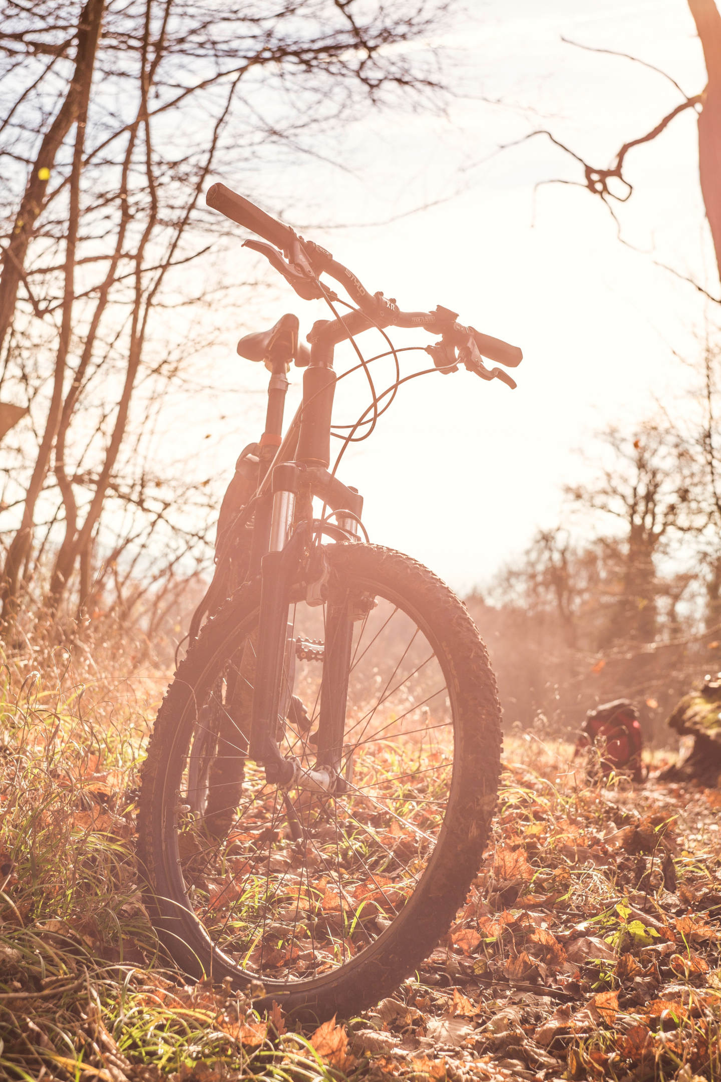 Bike com suspensão instalada. Foto de Markus Spiske, Pexels.