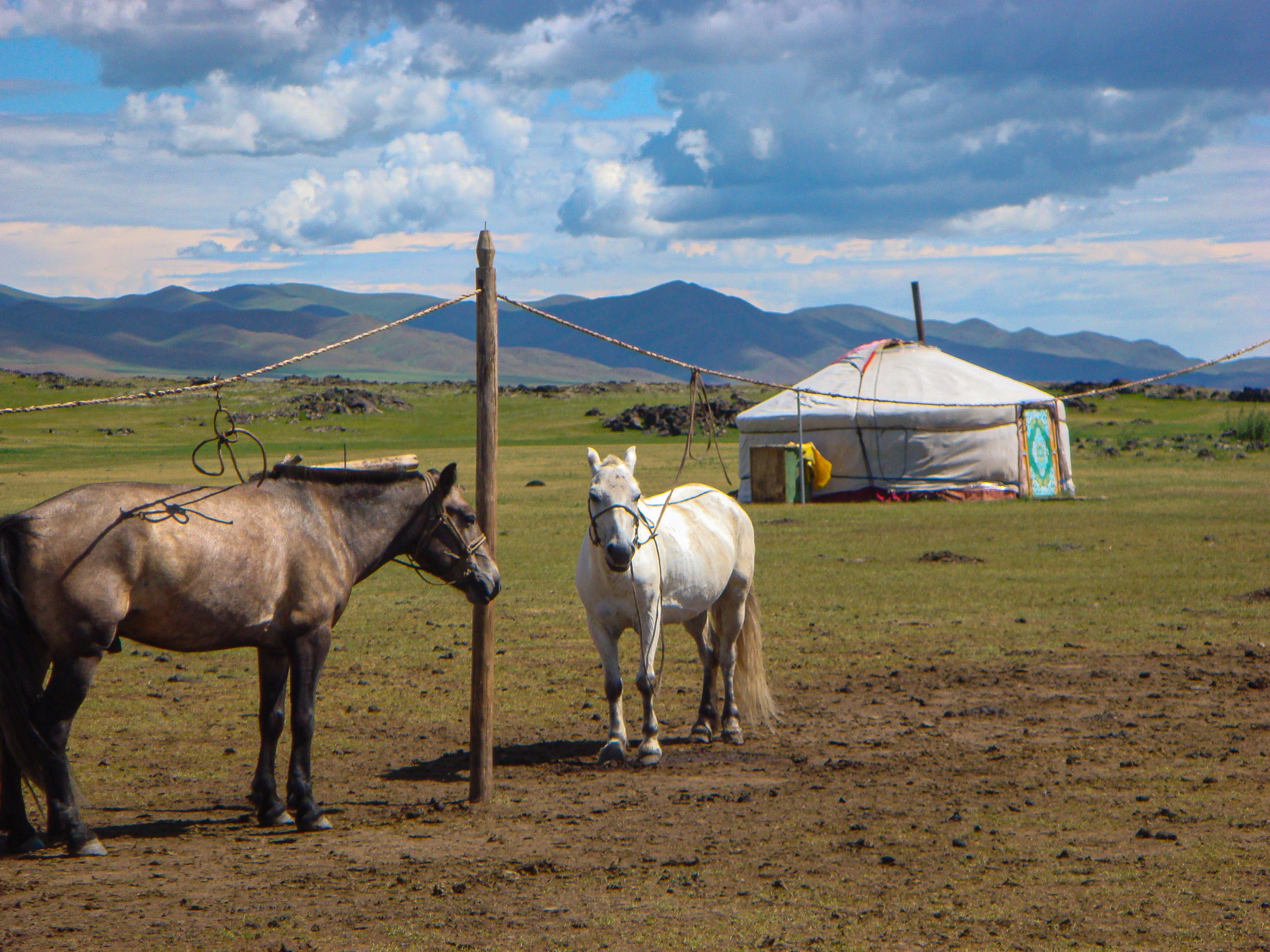 A family meeting local nomadic families in Mongolia