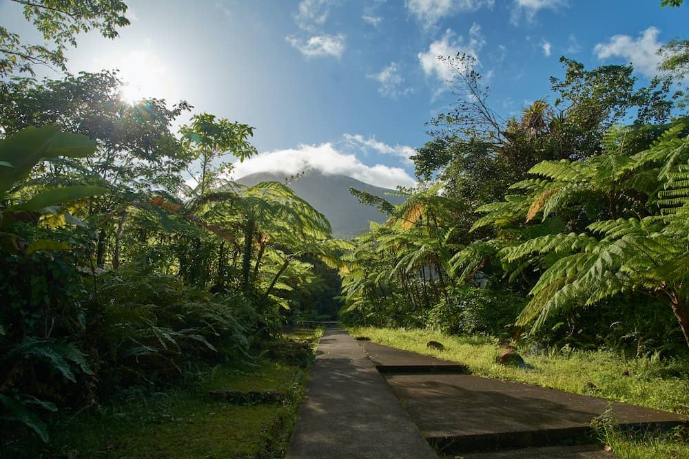 Visit Costa Rica Green Season