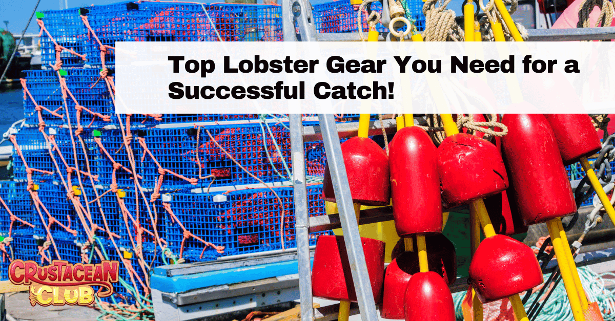 Top Lobster Gear You Need for a Successful Catch! 