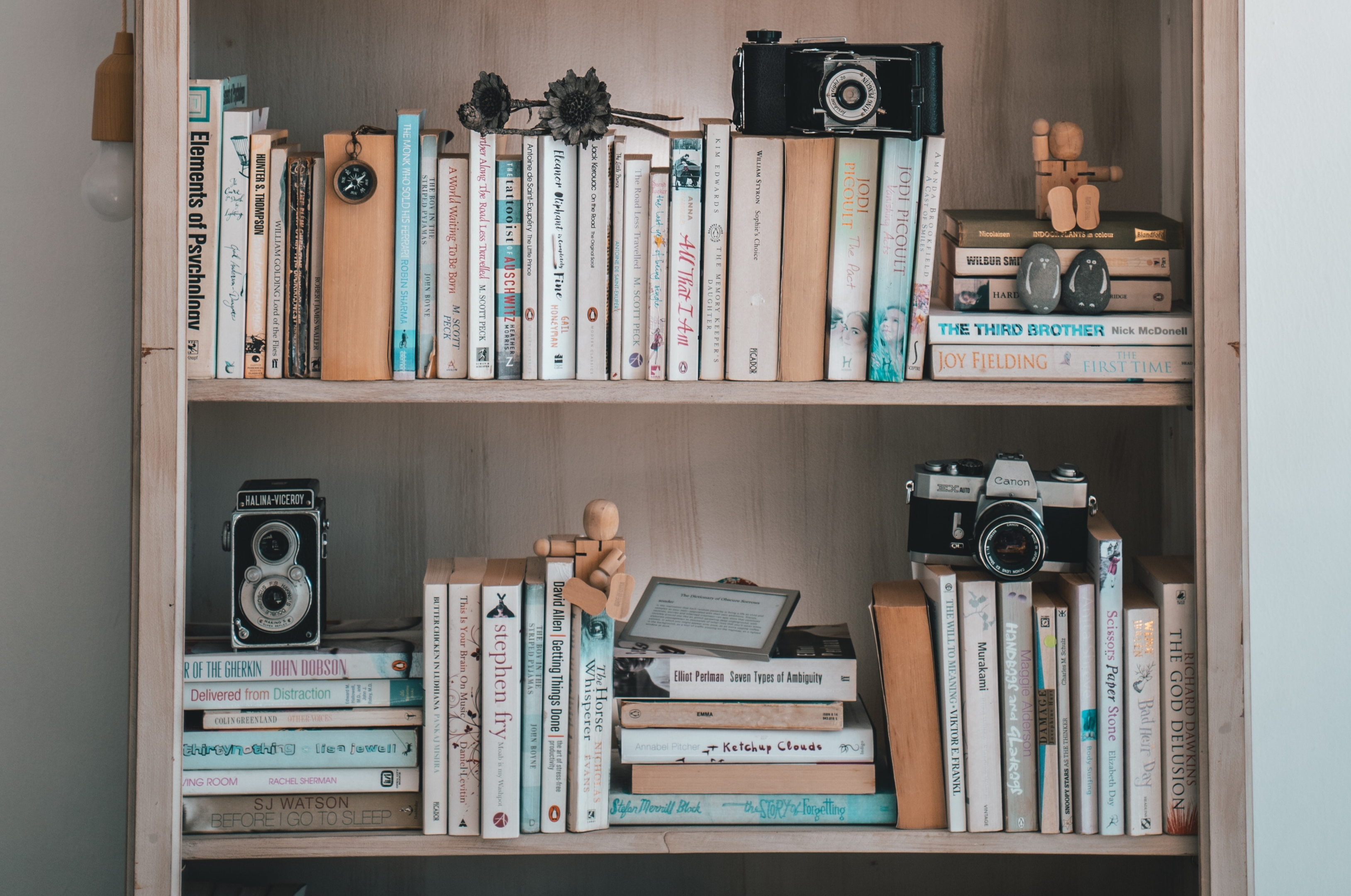 books and vintage camera display on shelves