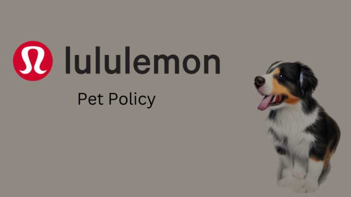 Image with an illustrated dog and the brand logo for LuluLemon next to it. It says "LuluLemon Pet Policy".