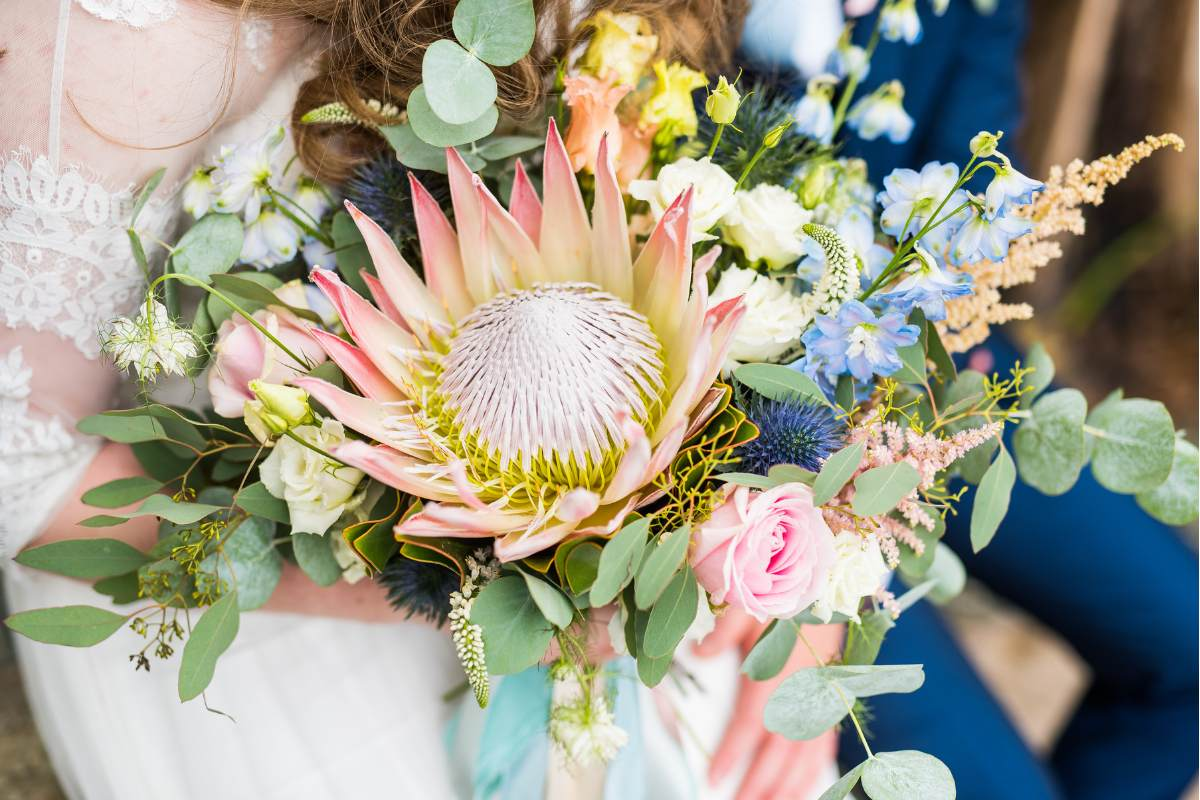 flower meanings, flower meaning, protea bouquet, pink flowers, flower meaning