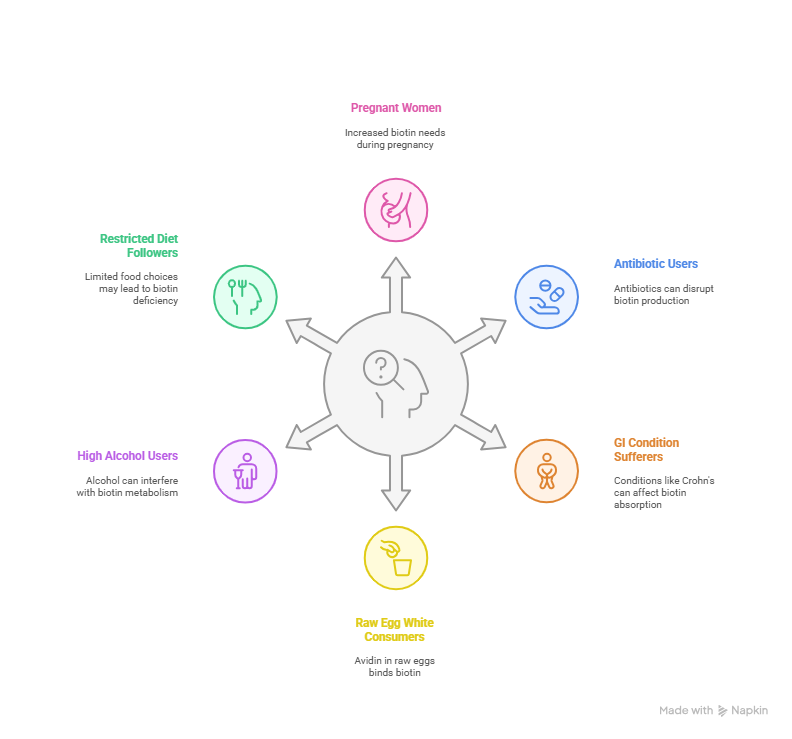 Diagram illustrating the most at risk groups for biotin deficiency