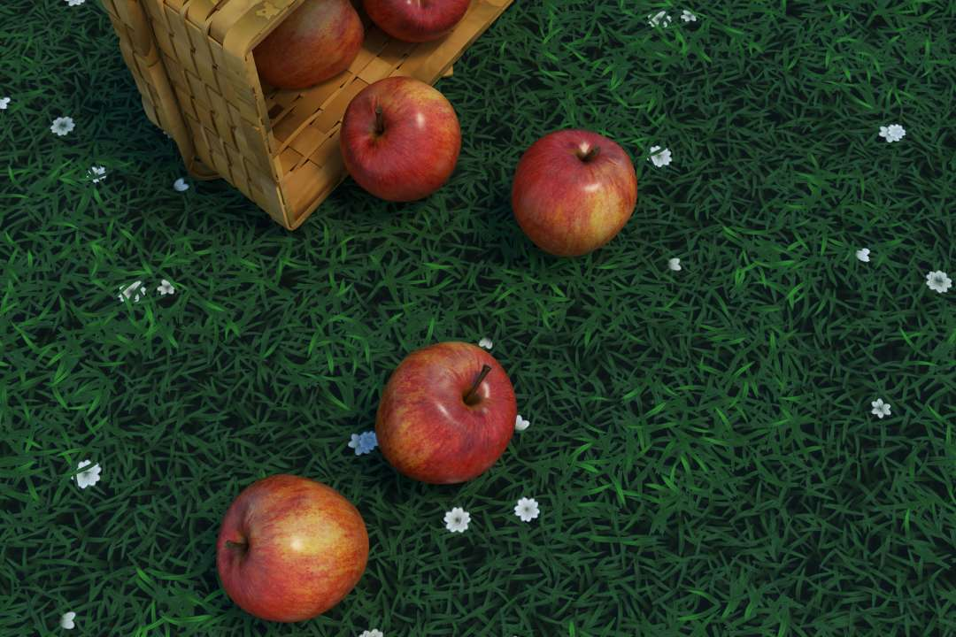 fermentation process, health conditions, apples on green grass, amino acids, consuming acv