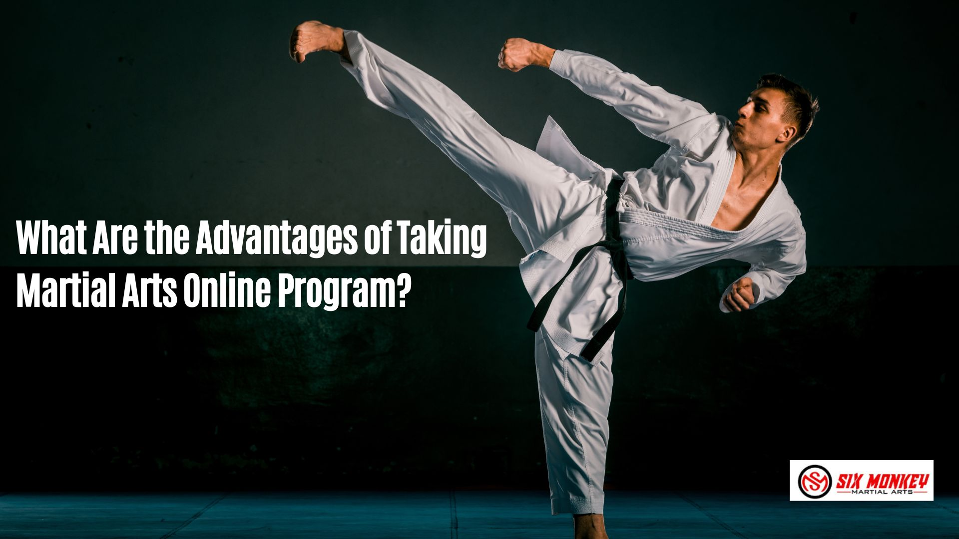 What Are the Advantages of Taking Martial Arts Online Program?