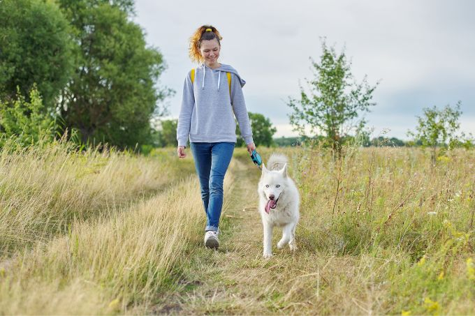 The Easy Walk Harness: Your Key to Effortless Dog Walks