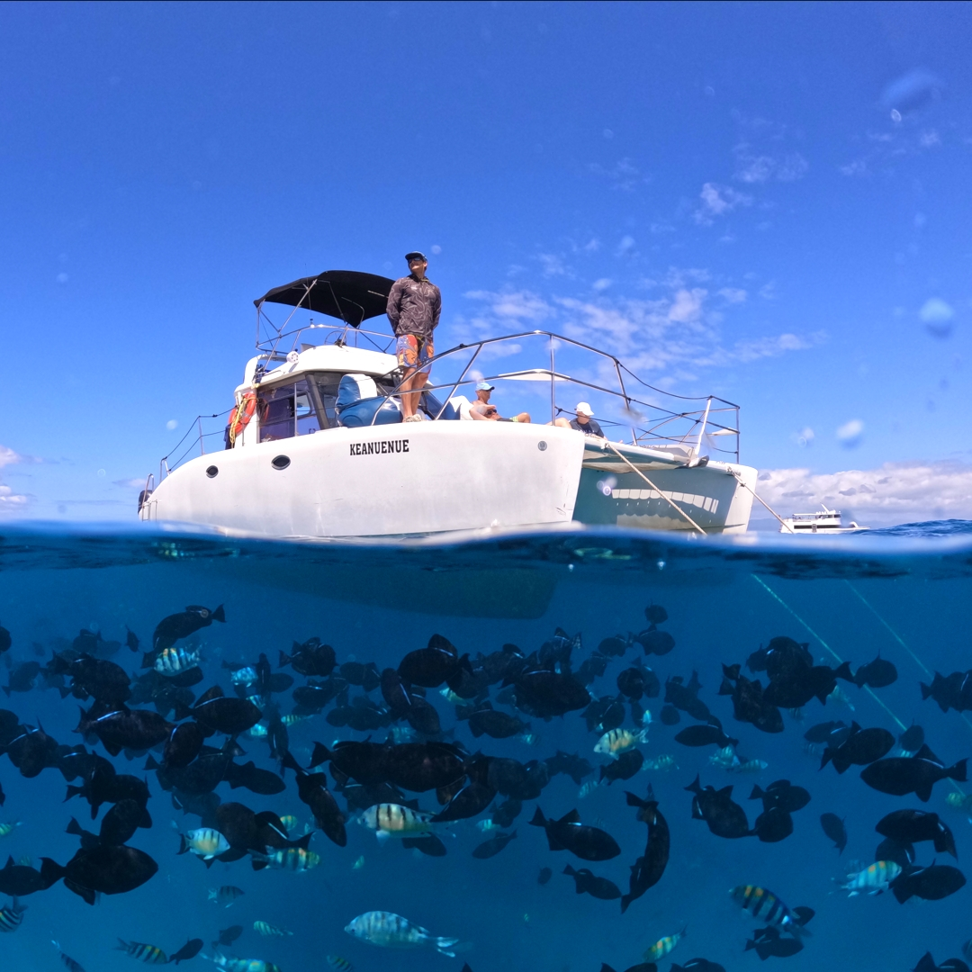 Hawaii Ocean Charters snorkeling tour boat with fish swiming below.