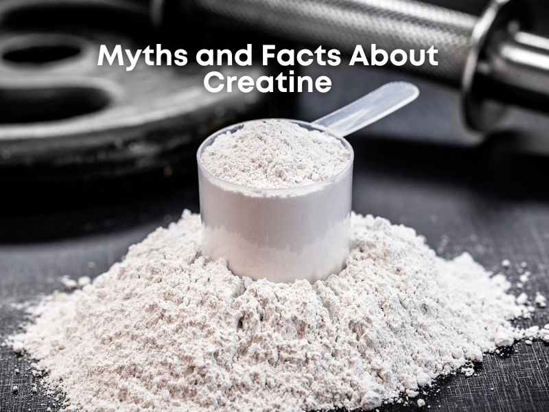 An image showing common myths and facts about creatine.