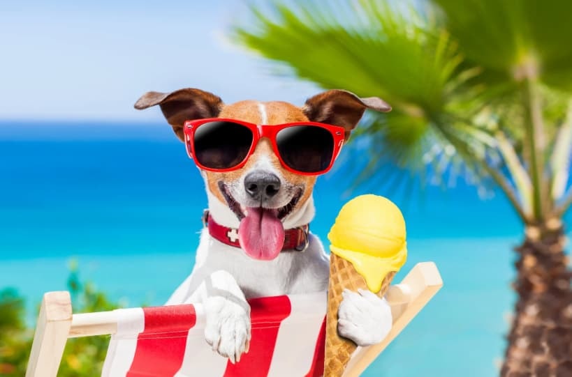 creative summer fundraiser ideas